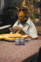 Альф / Alf (сериал 1986-1990)  KY9gN0fR